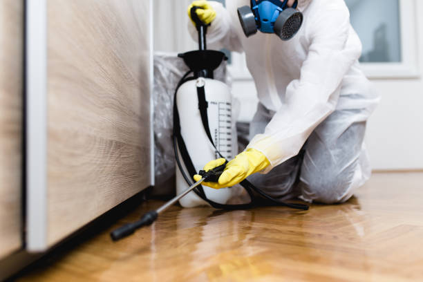 Best Exterminator Services  in Mendota, IL