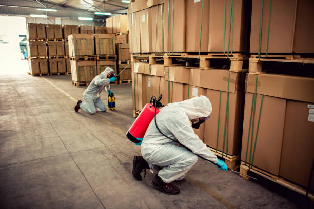 Best Residential Pest Control  in Mendota, IL