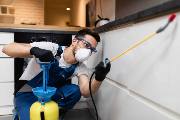Best Ant Control Services  in Mendota, IL