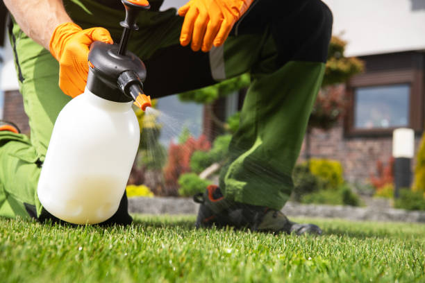Best Spider Control Near Me  in Mendota, IL