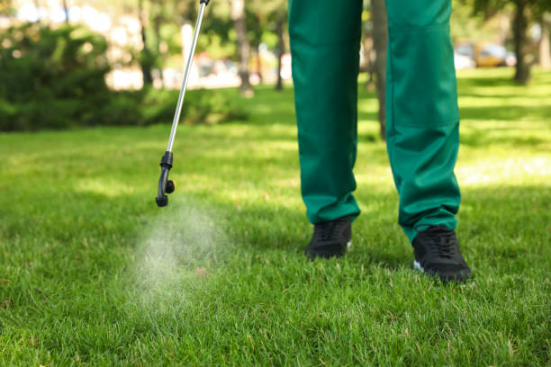 Best Best Pest Control Companies  in Mendota, IL