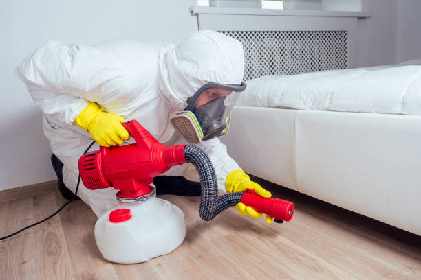 Best Pest Control Near Me  in Mendota, IL