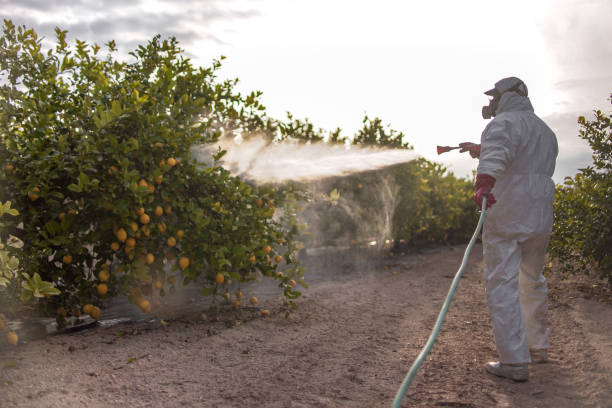Best Best Pest Control Companies  in Mendota, IL