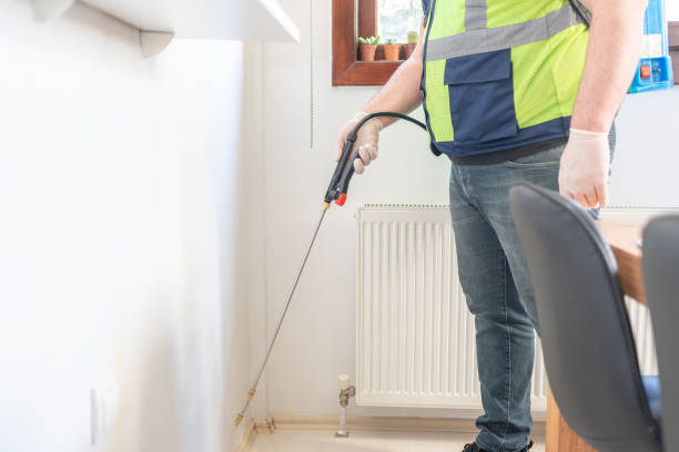 Best Termite Control Services  in Mendota, IL