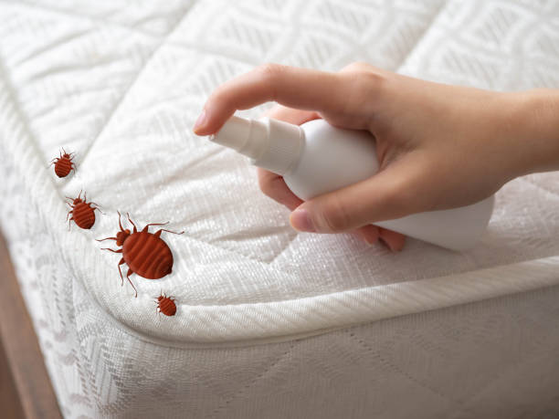 Best Wasp Removal Services  in Mendota, IL
