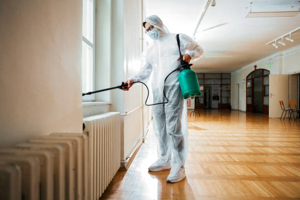 Best Flea Control Services  in Mendota, IL