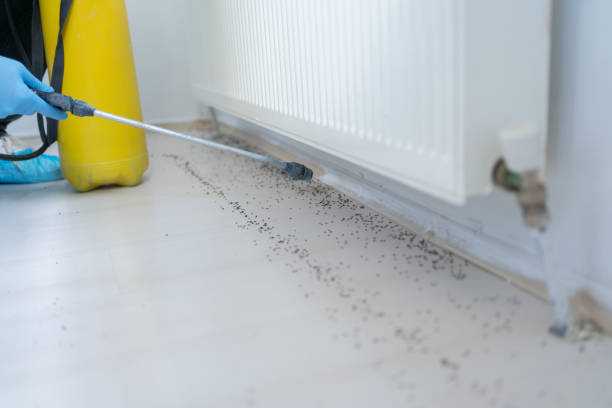 Best Commercial Pest Control Services  in Mendota, IL