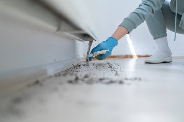 Best Mosquito Control Services  in Mendota, IL